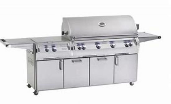 Picture of Echelon Portable Grill with Analog Thermometer & Power Burner | E1060S-8EAN-51 | FireMagic Grills